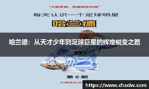 哈兰德：从天才少年到足球巨星的辉煌蜕变之路