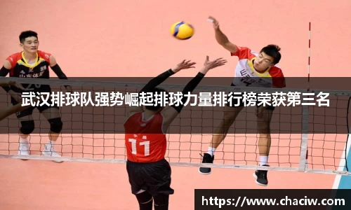 武汉排球队强势崛起排球力量排行榜荣获第三名